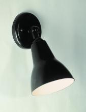 Outdoor Directional Lights